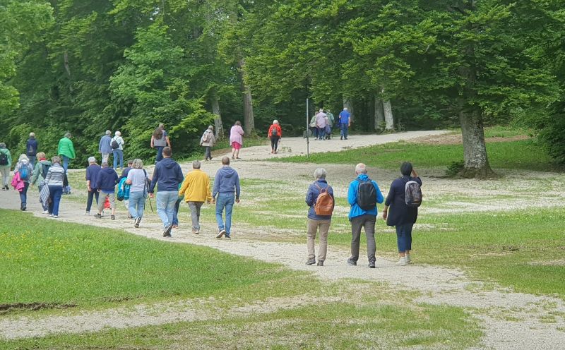 Auf unterschiedlichen Wegen wanderten die Teilnehmenden zum Schloss Lichtenstein