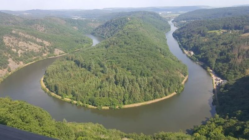 Der Ausblick vom Baumwipfelpfad über die Saarschleife beim diesjährigen Jahresausflug