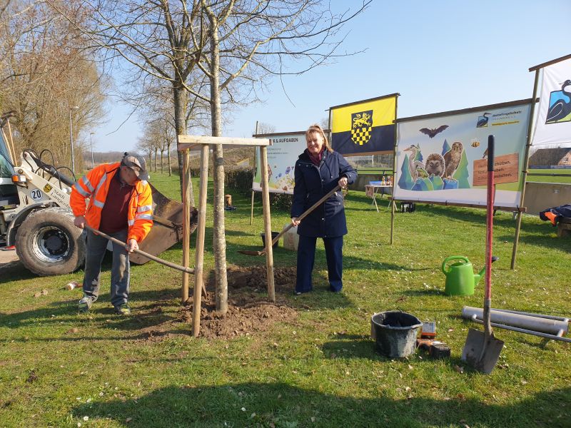 Frau Bürgermeisterin Weber und der erste Vorsitzende Herr Pollanka planzten gemeinsam eine Sommerlinde, welche vom Verein gespendet wurde