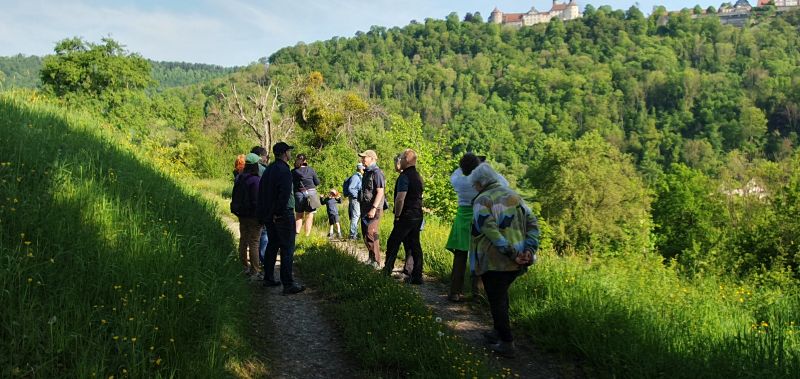 Wandergruppe im Jagsttal mit Schloss Langenburg im Hintergrund